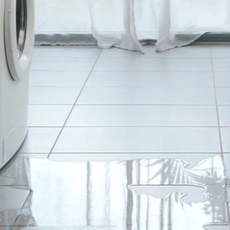 Appliance Leak Cleanup in Moody, TX