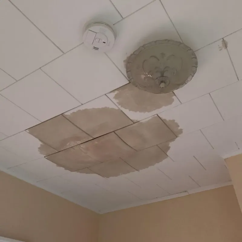 Ceiling Water Damage Repair in Moody, TX