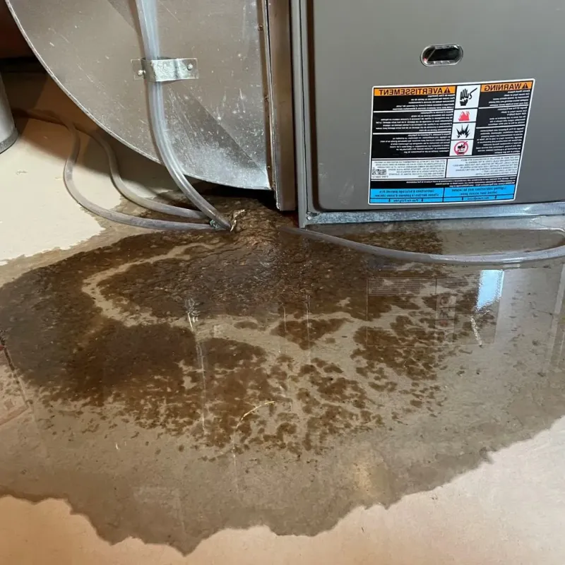Pipe Burst and Leak Restoration in Moody, TX