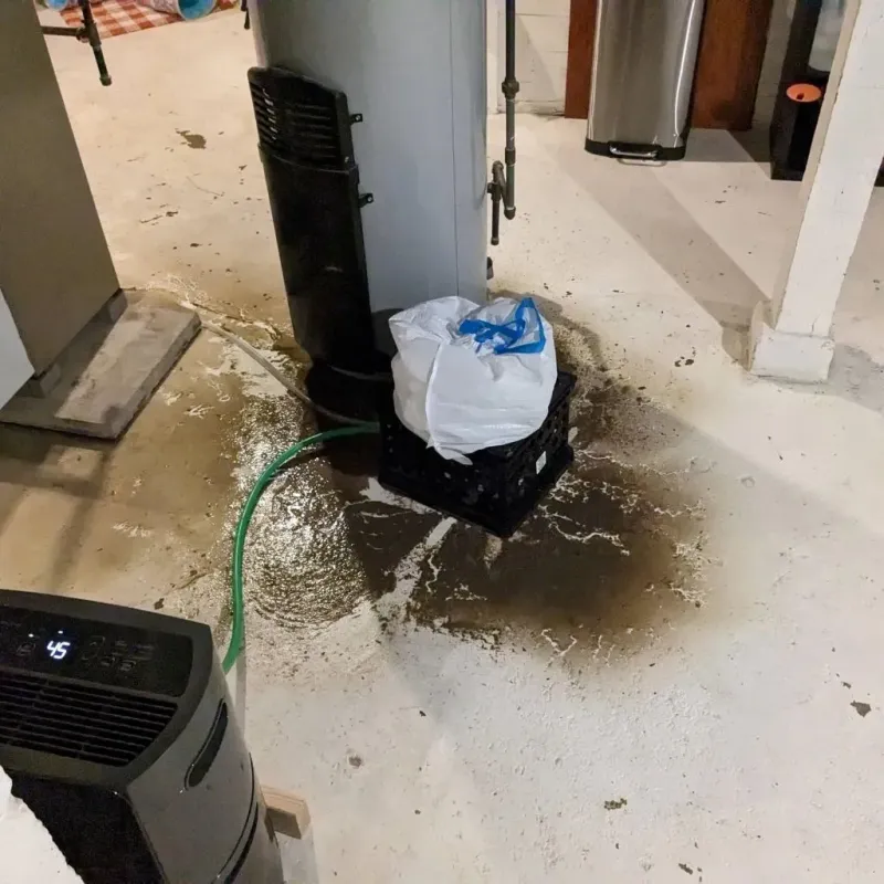 Sewage Backup Cleanup Service in Moody, TX